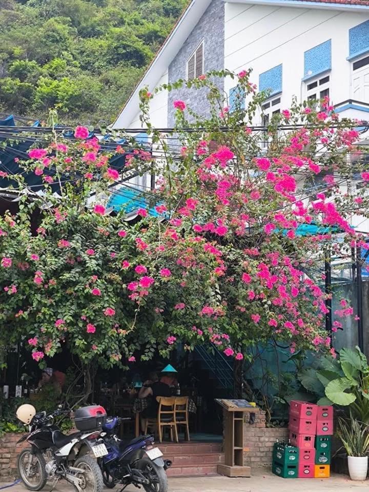 Phong Nha Jasmine Hostel & Roof Top Bar 外观 照片